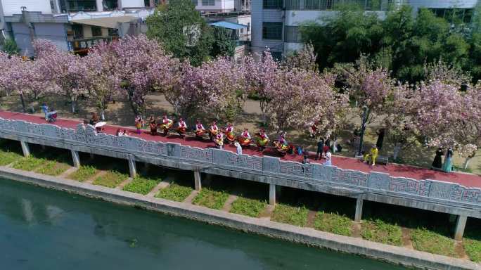 水城河樱花