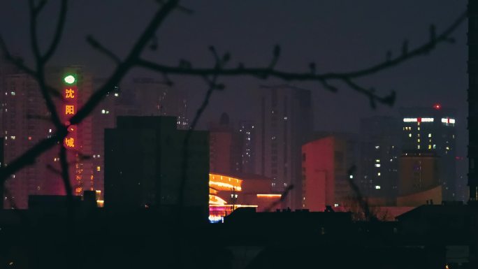 城市夜景红灯笼树风景4K视频素材