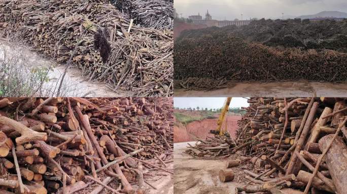 工厂林业木场 木头林业加工厂 胶合板材厂