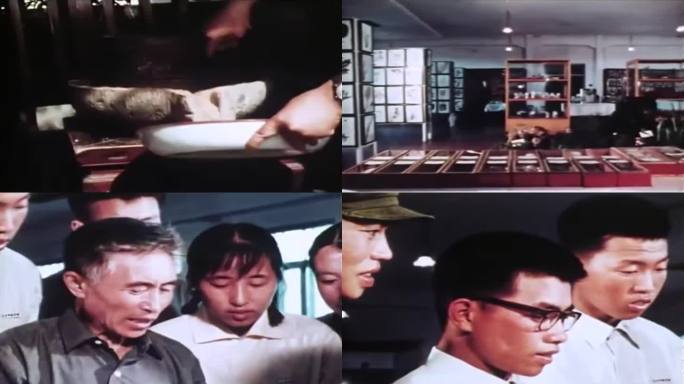60年代的中医制药看病视频