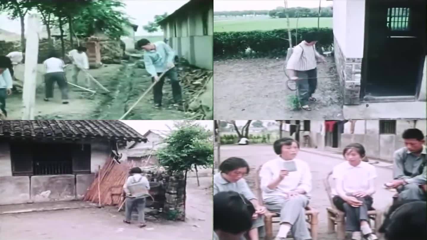 60年代的中国乡村防治病虫害视频