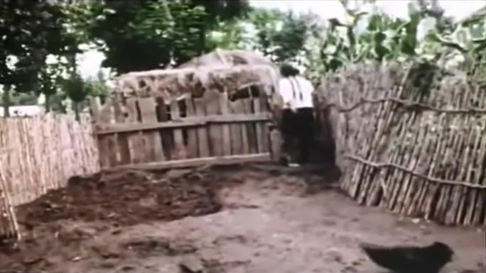 60年代的中国乡村卫生防治视频