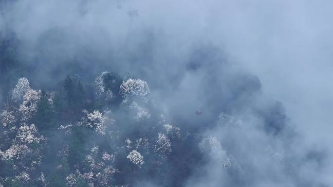 黄山齐云山云雾航拍三月