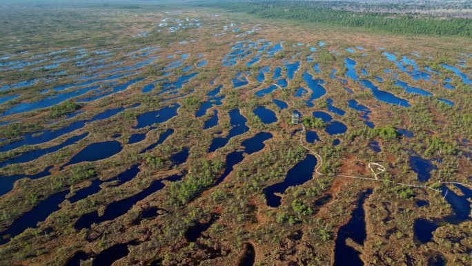 拉脱维亚中部美丽的克梅里国家公园的航拍画面。无人机拍摄的夏季天然沼泽地。