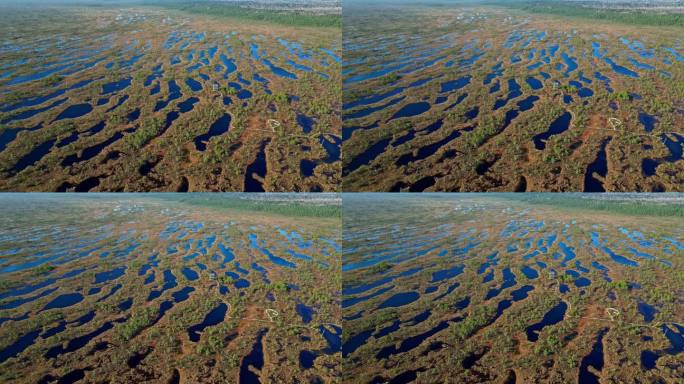 拉脱维亚中部美丽的克梅里国家公园的航拍画面。无人机拍摄的夏季天然沼泽地。