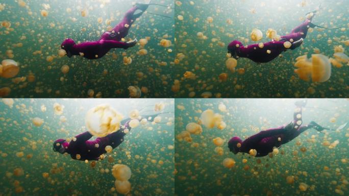 自由潜水员在满是无刺水母的湖里游泳。西巴布亚，米苏尔，印度尼西亚