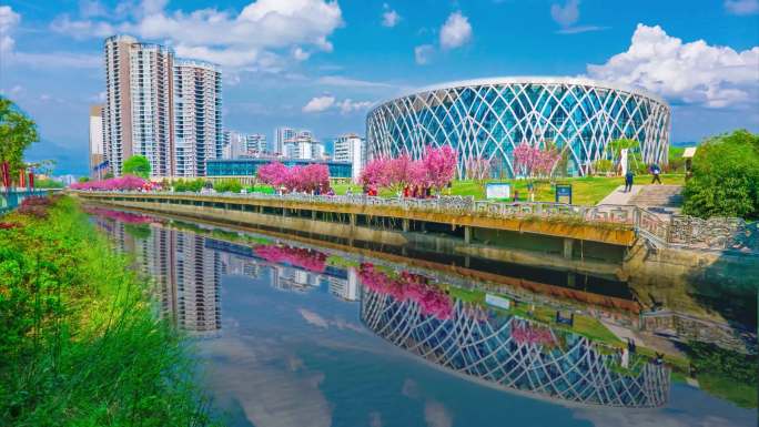 水城河樱花 多组延时