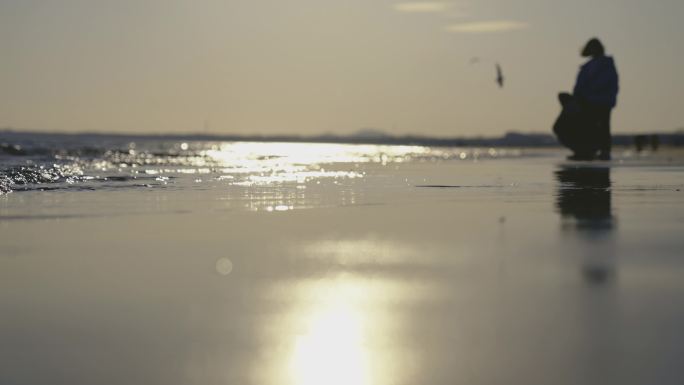 夕阳下海边拍照看海鸥