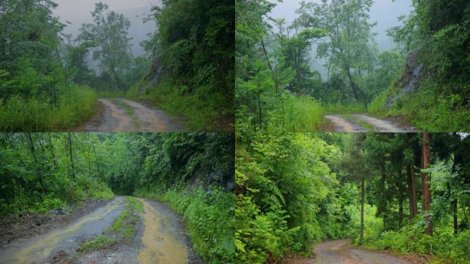 雨中的山路