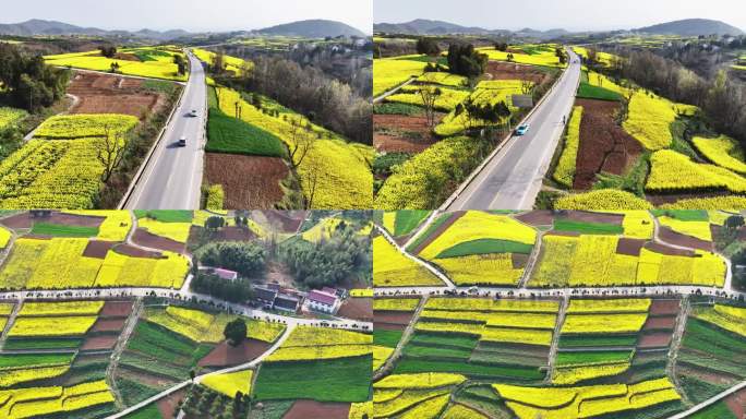 汽车行驶油菜花海田园生态公路俯拍跟随拍