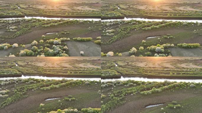 海拉尔河湿地自然风光