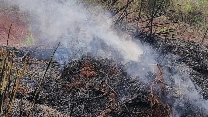 实拍火灾过后烟雾燃烧灰烬森林火灾事故灾难
