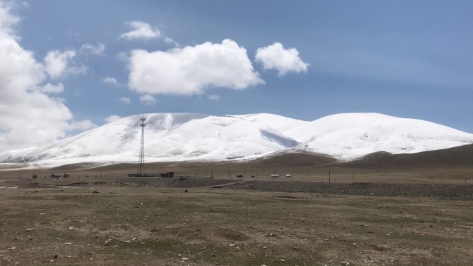 高原雪景牦牛新疆西藏青海青藏高海拔雪山