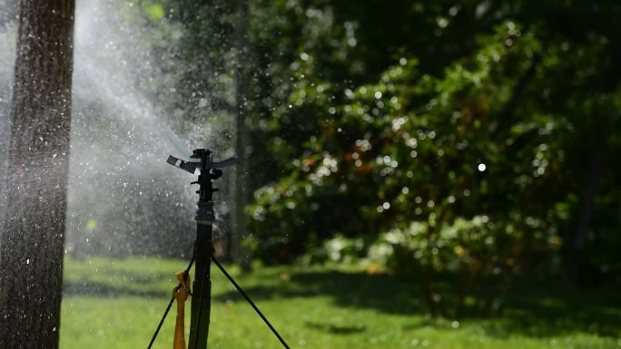 夏日自动洒水器浇草地