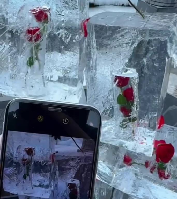 冰雪 冰封 玫瑰 冬季 唯美 艺术