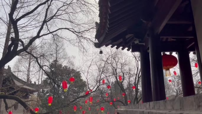 过年古树古建筑红灯笼装饰新年气氛