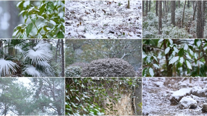 下雪雪景森林鹅毛大雪升格慢镜头 雪天场景