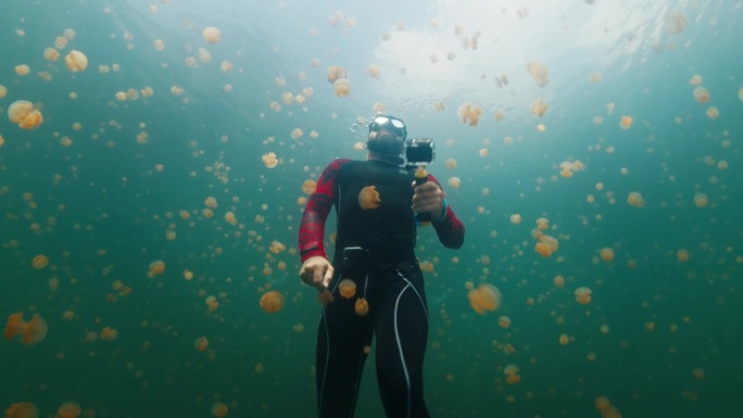 自由潜水员在满是水母的湖里游泳。西巴布亚，米苏尔，印度尼西亚