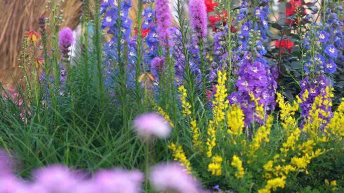 笔架山公园花展花海