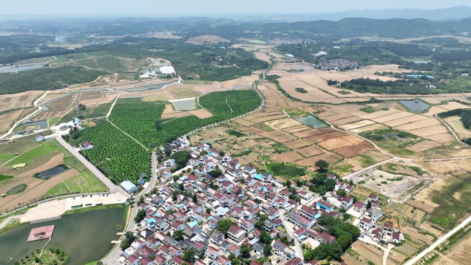 农村 农民 乡村振 新农村建设溧水晶桥