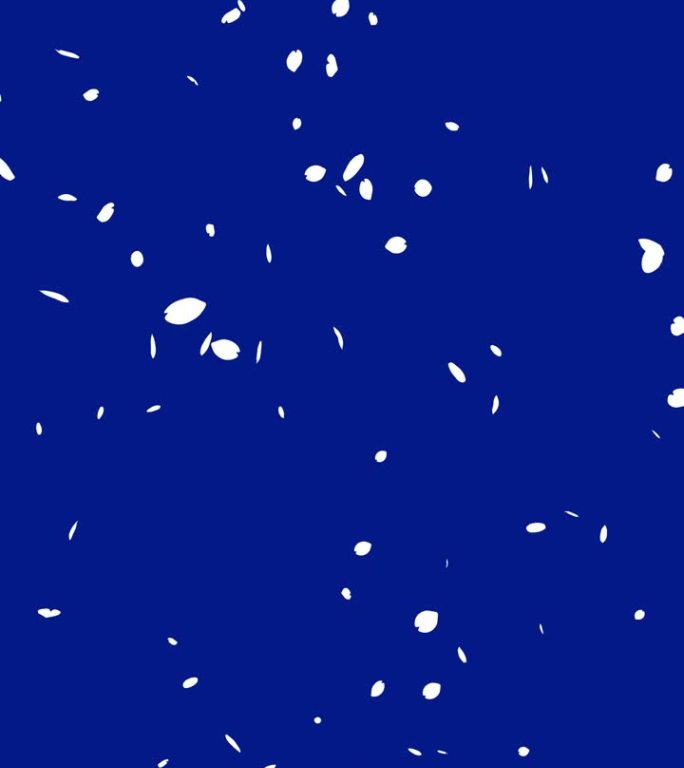 白色剪影樱花暴风雪的循环视频，花瓣从上到下落下(蓝色)[垂直视频]