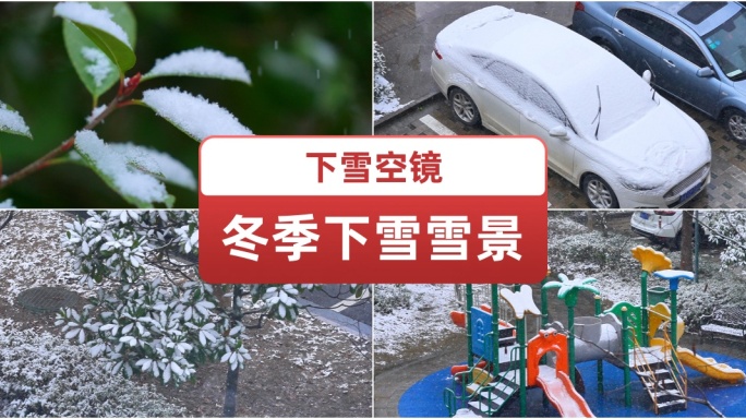 冬季雪景下雪空镜  雪花飘落 树枝积雪