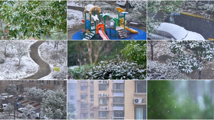 冬季雪景下雪空镜  雪花飘落 树枝积雪