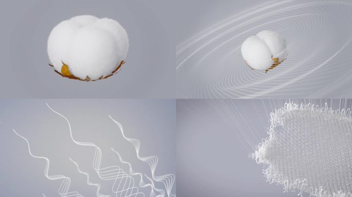 纯天然新疆棉花 布料特写片头