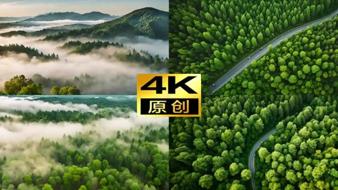 【大合集】绿色森林航拍森林风光风景动画