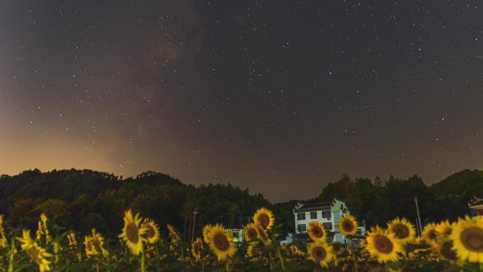 蜀源向日葵星空