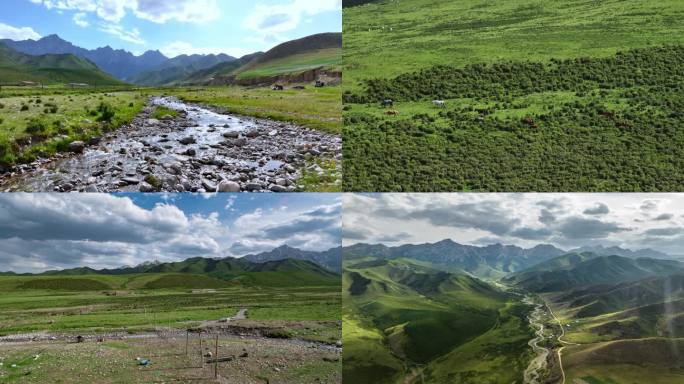 高山高原草场畜牧养殖生态