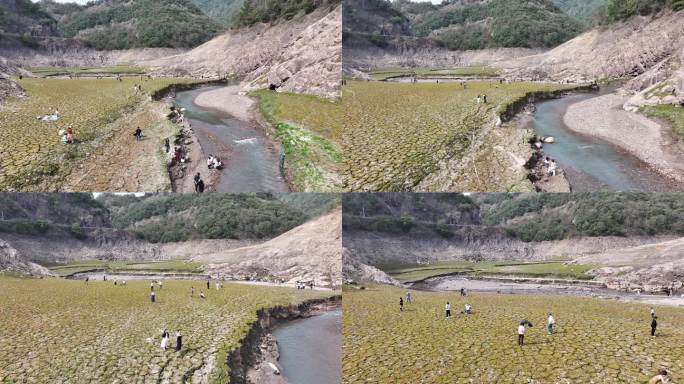 台州仙居里林水库航拍