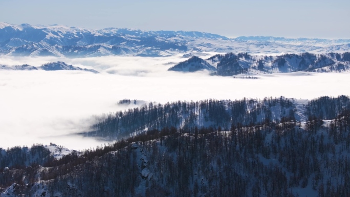 雪后森林云海 空镜头合集 原创4K30帧