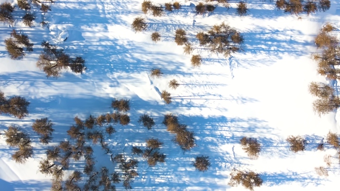 雪后森林云海 空镜头合集 原创4K