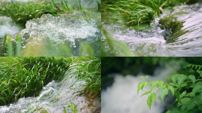 清澈的溪水流淌 慢动作
