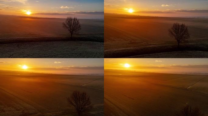 超延时无人机拍摄日出和雾在阳光明媚，田园诗般的农村农田