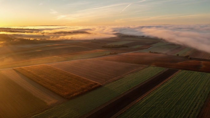 无人机拍摄的雾气在日出时越过田园诗般的农田
