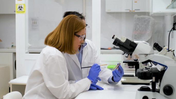 两位科学家正在检查红色培养皿中的细菌培养物。