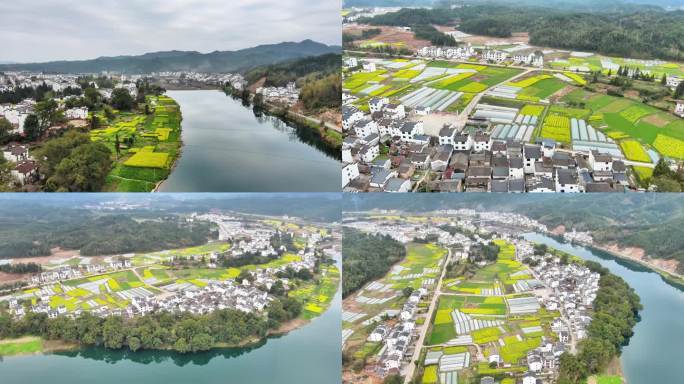 水清岸绿入画来 油菜花开田野美