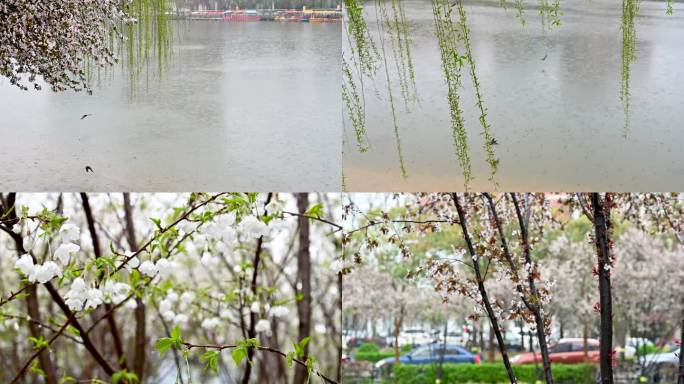 春雨贵如油