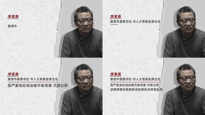 纪检纪委 反腐 警示教育 嫌疑人介绍19