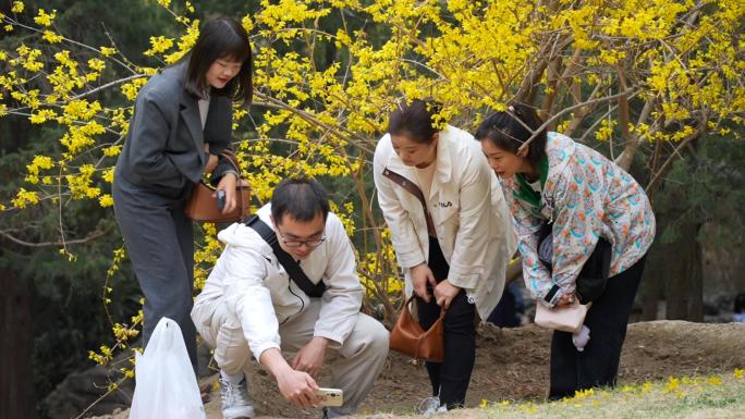 首届北京朝阳花园节日坛公园春分朝阳文化节