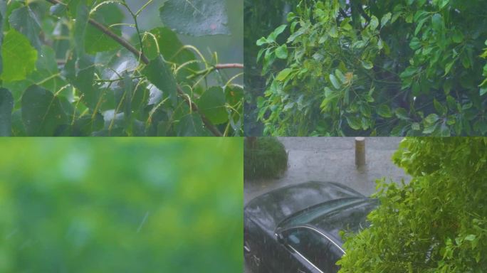 城市下暴雨倾盆大雨下雨天雨水雨滴植物树叶