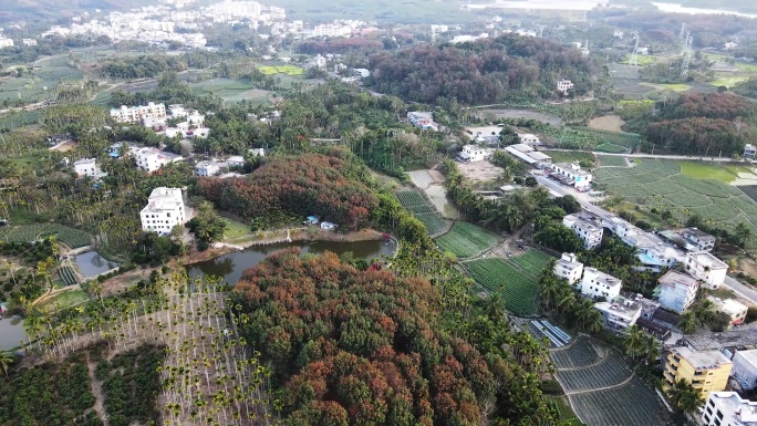 青山绿水秀江南