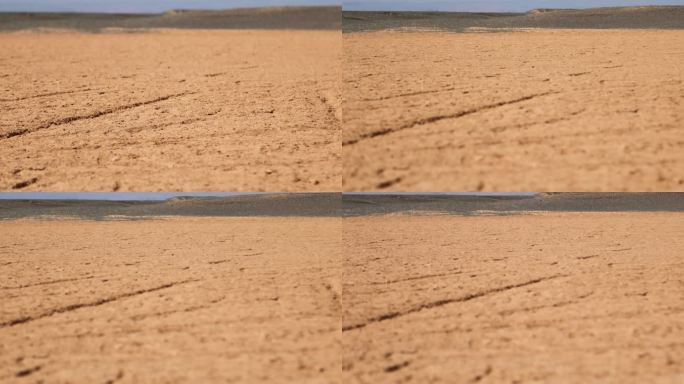 沙漠隔壁壮丽沙丘
