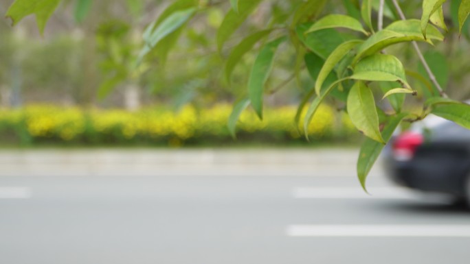 马路上驶过的车辆