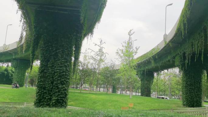 成都市三环路高架桥上的绿色植物