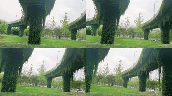 成都市三环路高架桥上的绿色植物