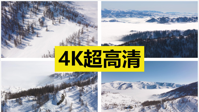 冬天雪地森林空镜头 原创4K30帧