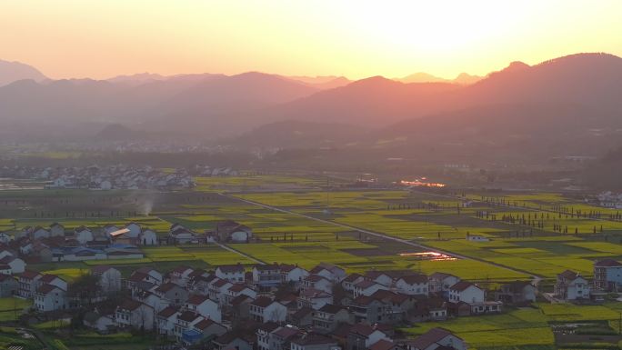 乡村 汉中油菜花 美景